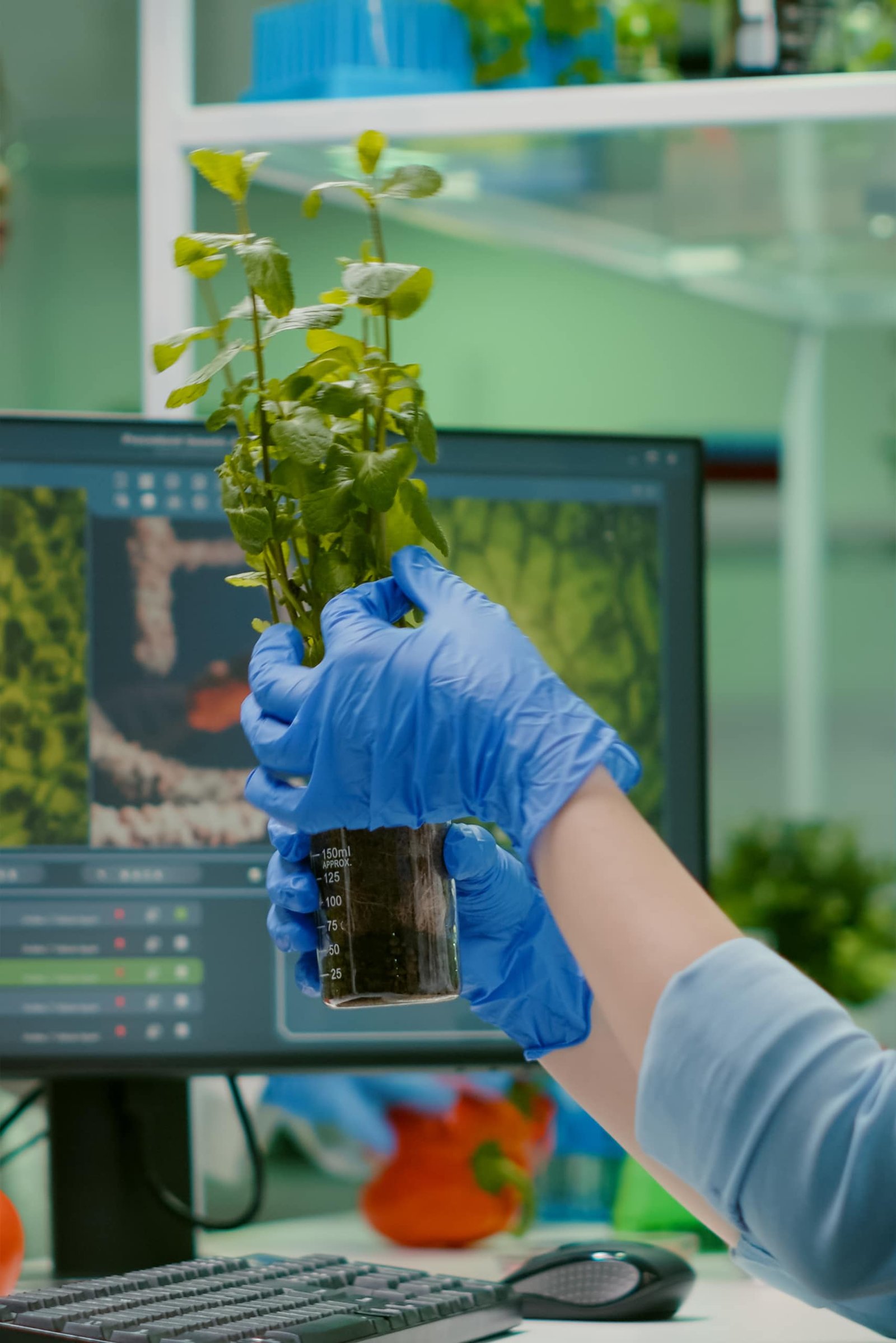 Biologist-scientific-doctor-examining-green-saplin-2023-01-13-23-07-11-utc