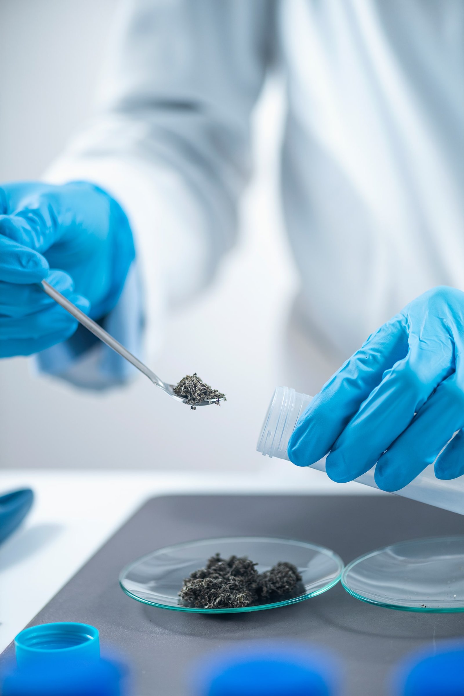 Pesticide-testing-laboratory-inspection-of-organi-2021-08-28-11-11-09-utc