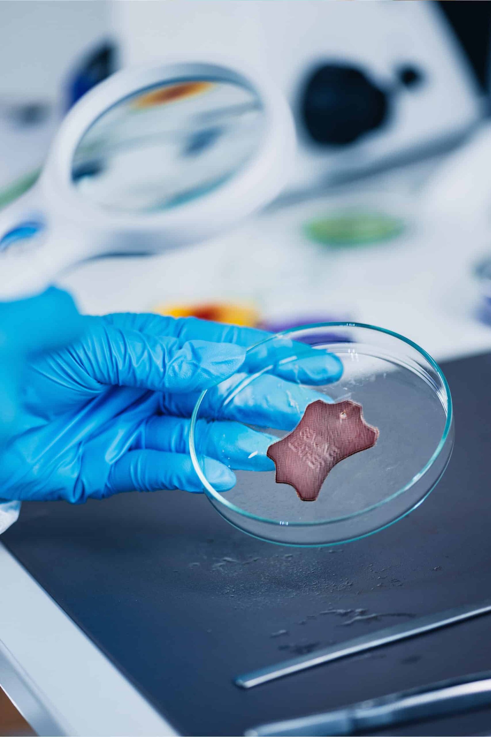 Scientist-shands-putting-in-nitrile-blue-latex-glov-2022-12-23-00-44-46-utc-2-copy-scaled-1