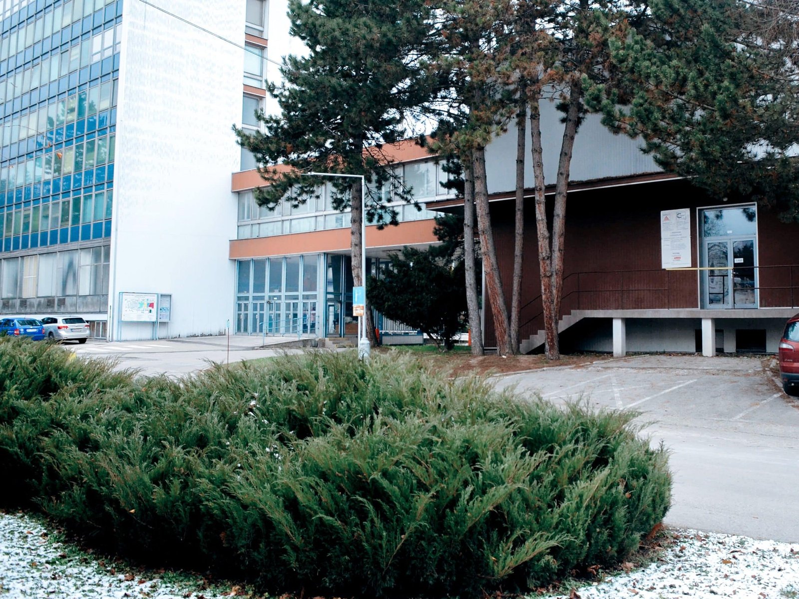 Foto_Chiranalab (13)