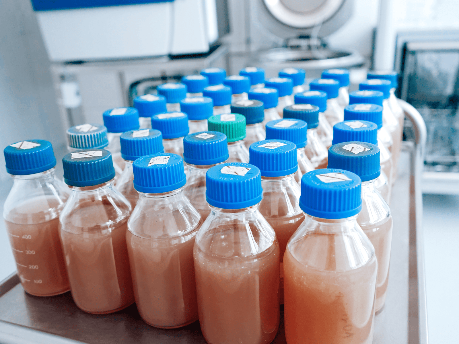 Foto_Novum Analytik (11)