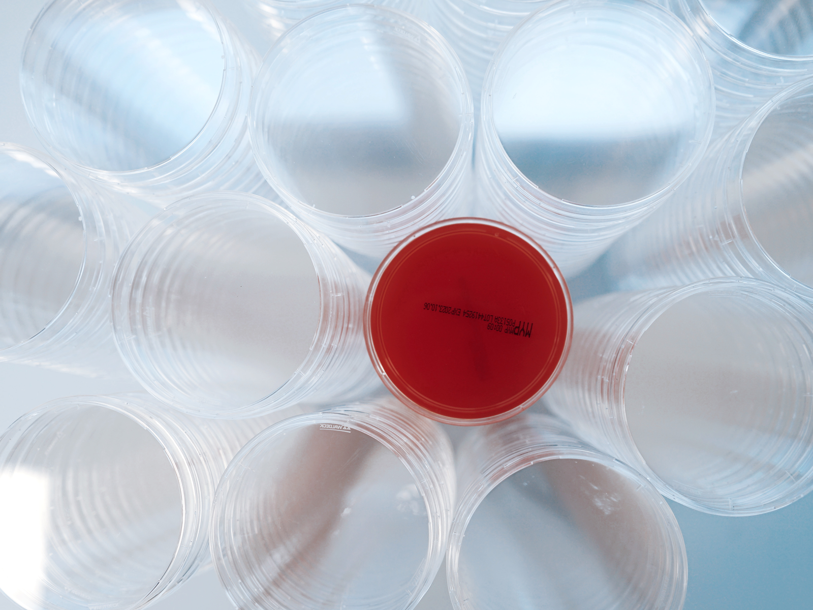 Foto_Novum Analytik (24)