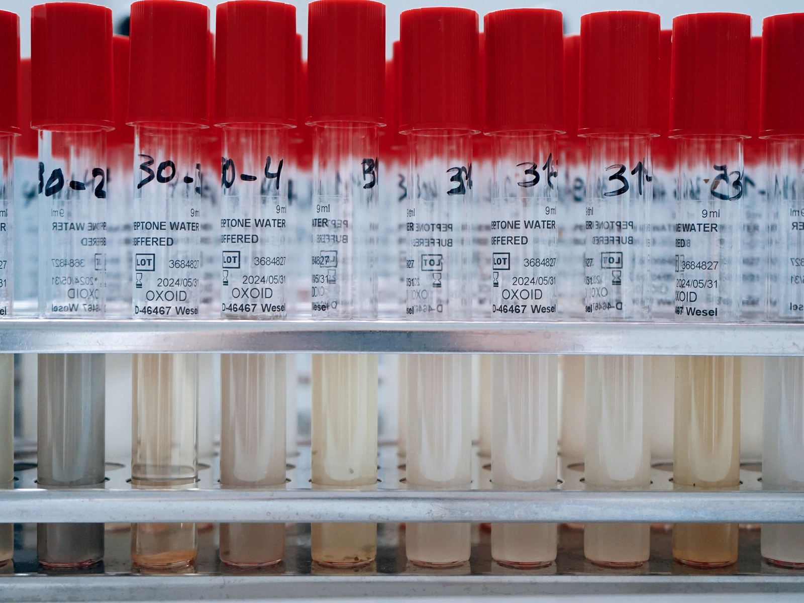 Foto_Novum Analytik (6)