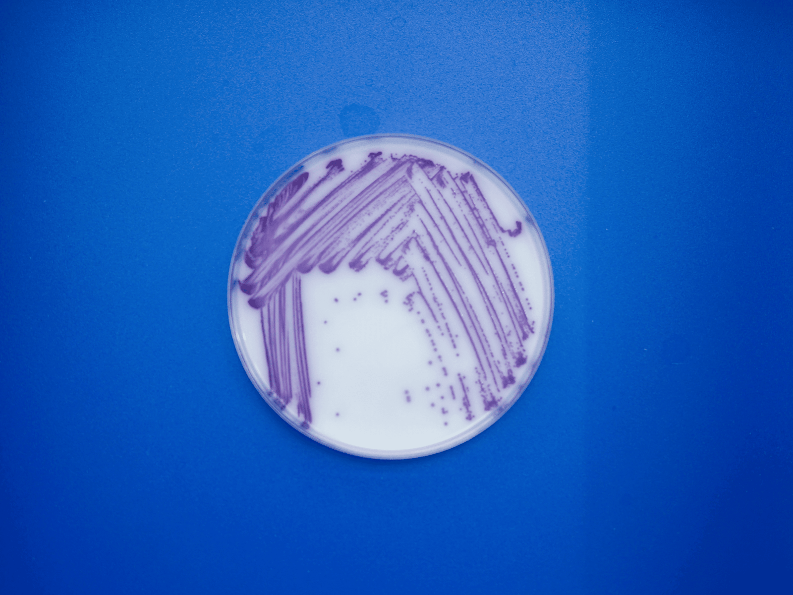 Foto_Novum Analytik (9)