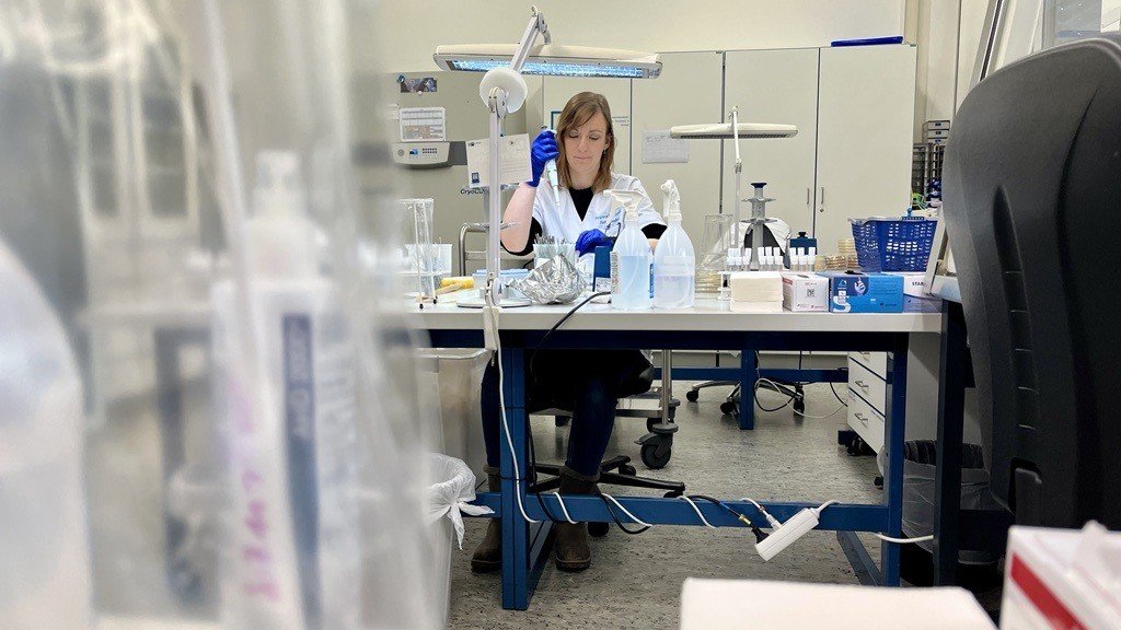 HygieneNord (2) - Kopie