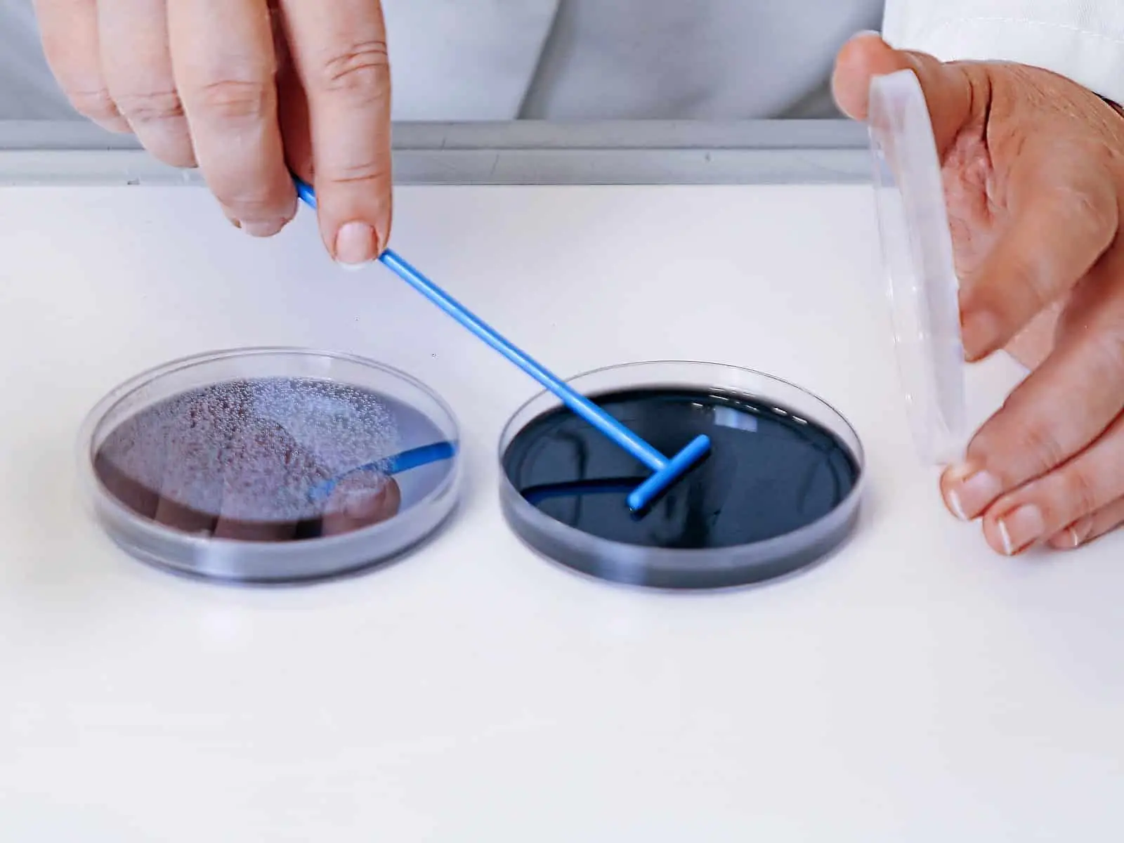 Foto_Labor Dr. Scheller (15)