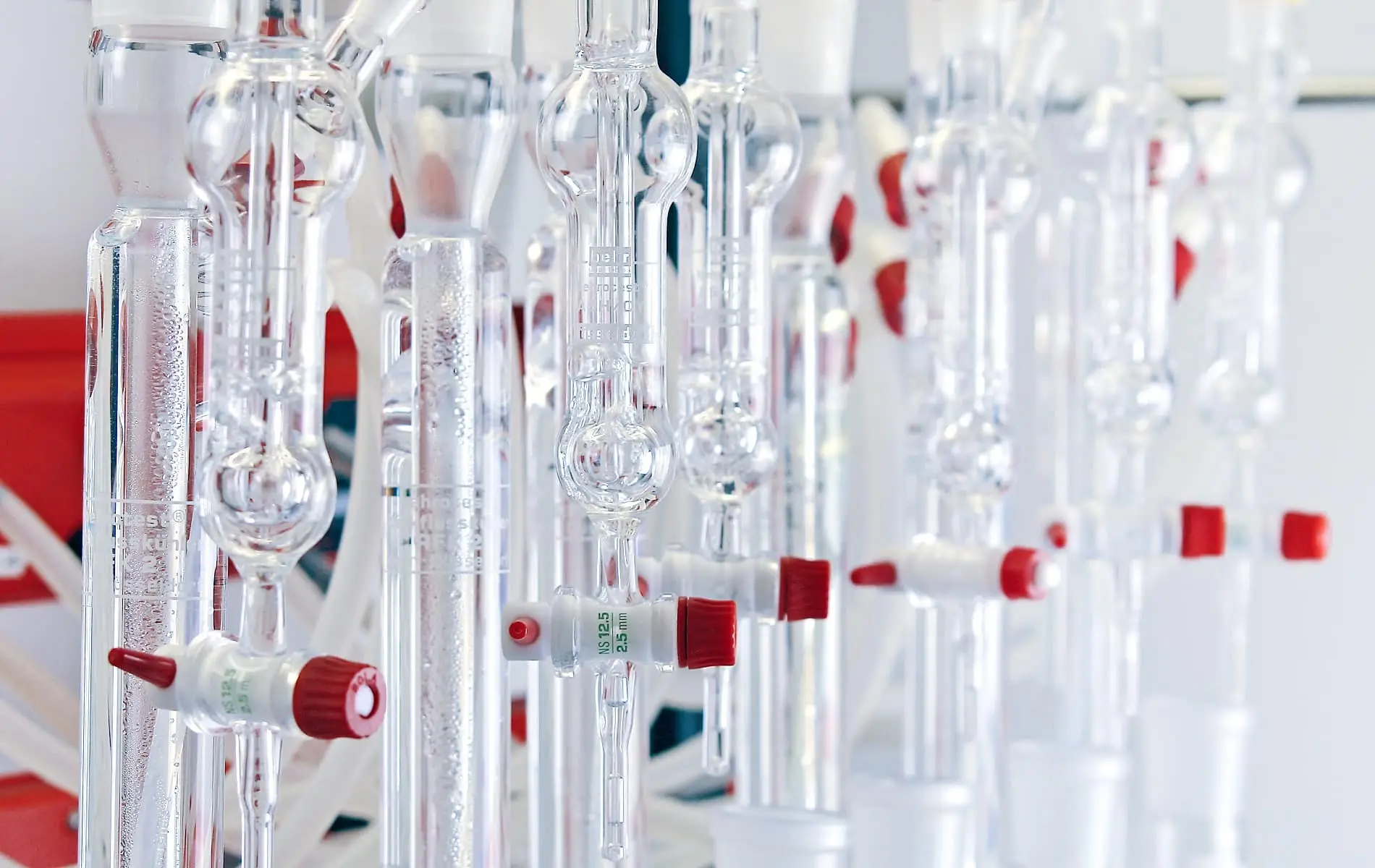 Foto_Labor Dr. Scheller (5)