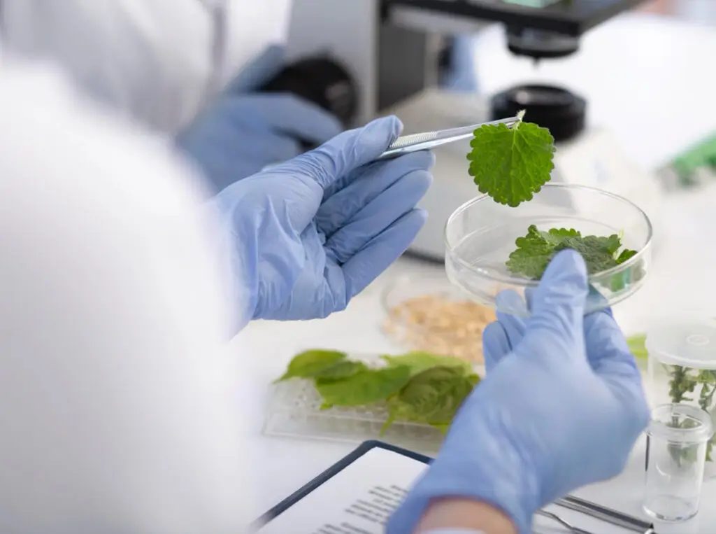 Nachhaltige Analytik