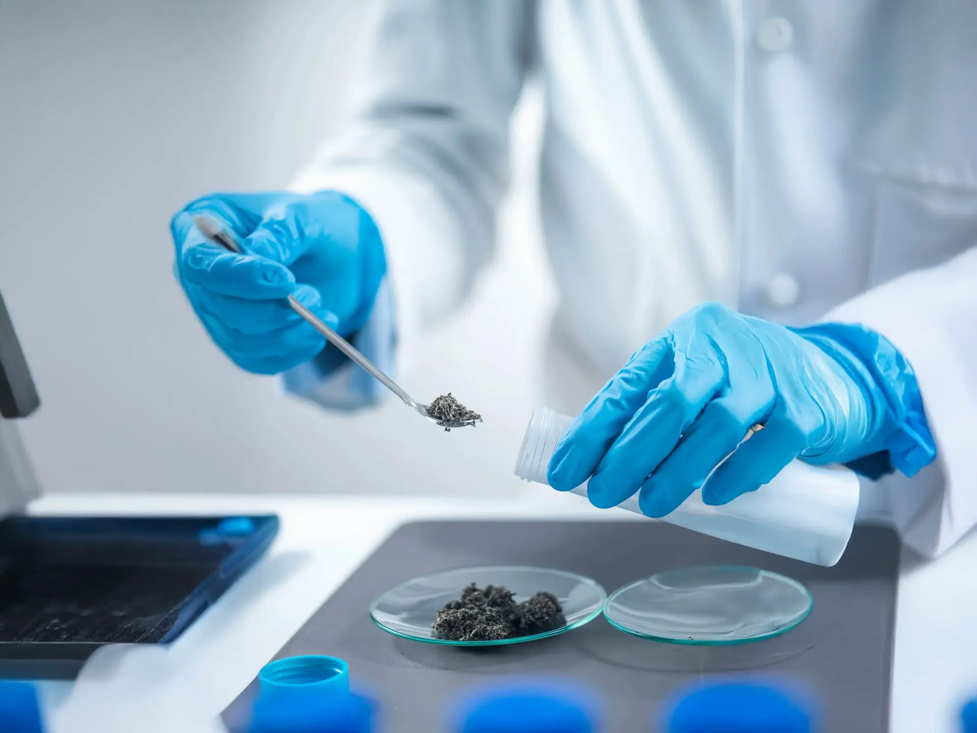 Bodenprobem Service viridiusLAB