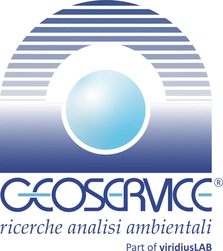 Geoservice Logo@4x
